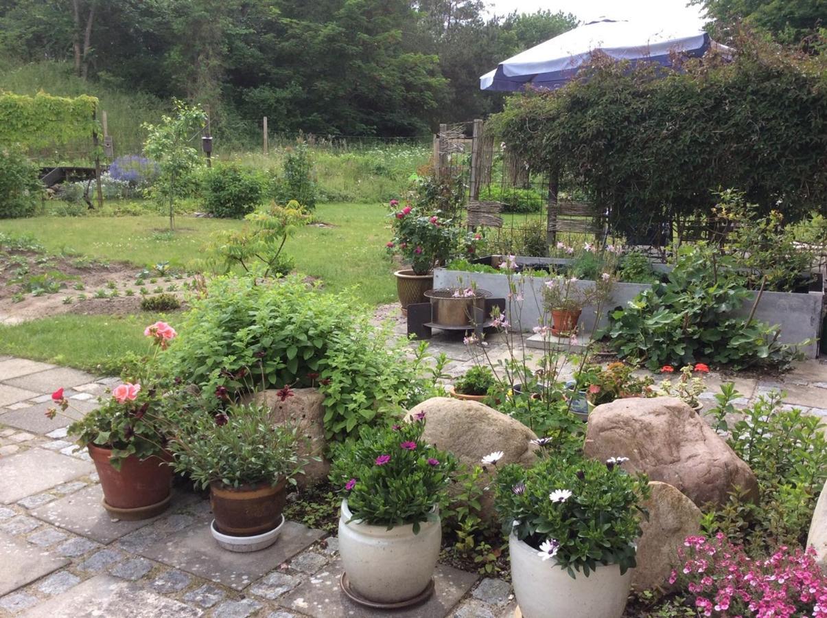 Bergliot Bed & Breakfast Hundested Εξωτερικό φωτογραφία