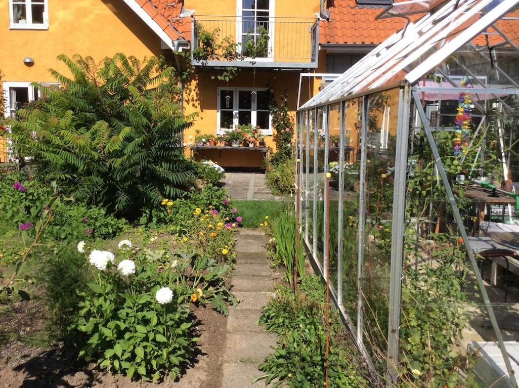 Bergliot Bed & Breakfast Hundested Εξωτερικό φωτογραφία