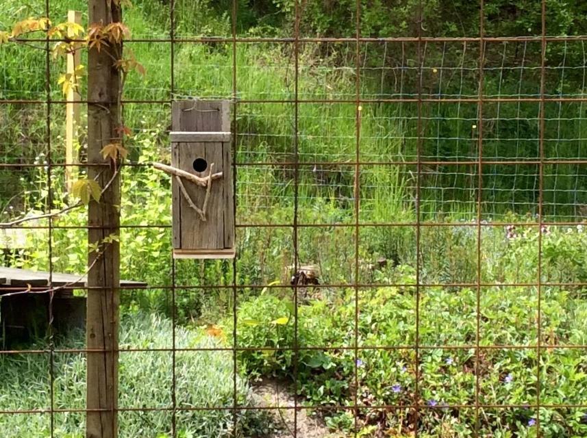 Bergliot Bed & Breakfast Hundested Εξωτερικό φωτογραφία